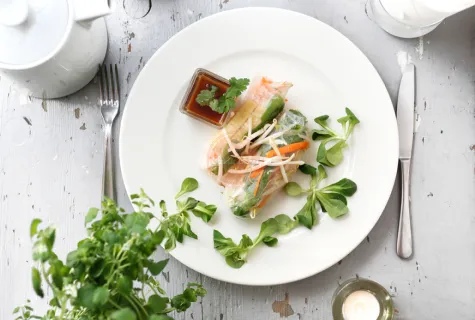 Overview of tofu spring rolls on a plate