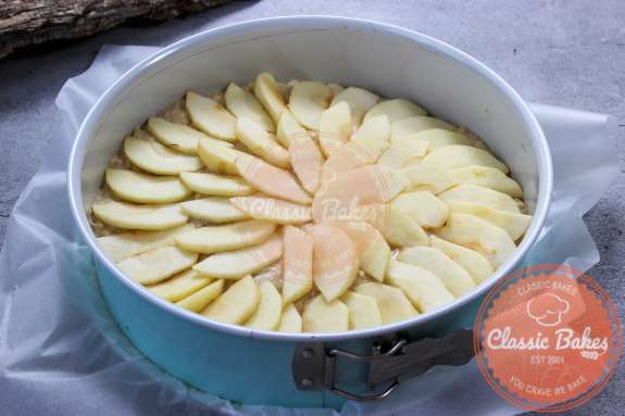 A cake pan with sliced apples fanned out on top of the batter 